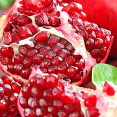 Pomegranate stem cells