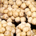 Langsat Extract