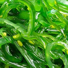 Wakame Extract