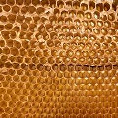 Royal Jelly Peptide